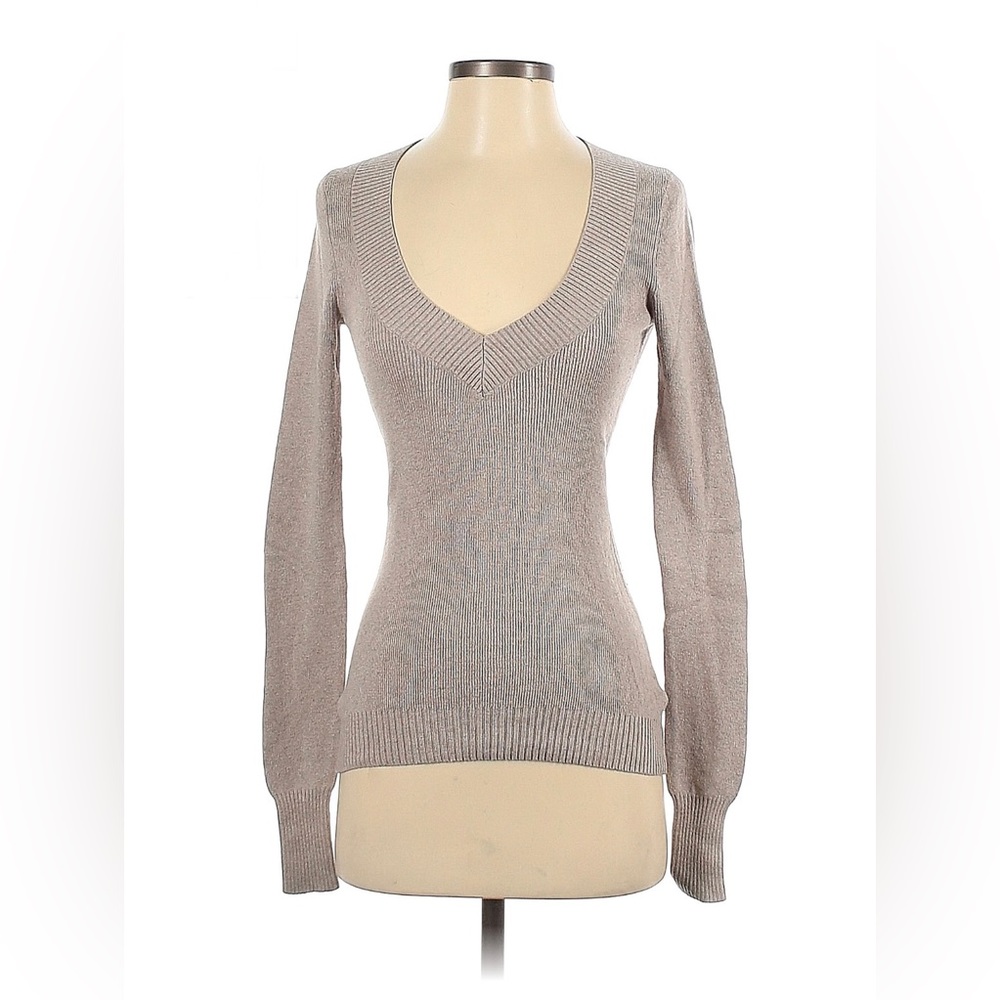 Express V-Neck Sweater